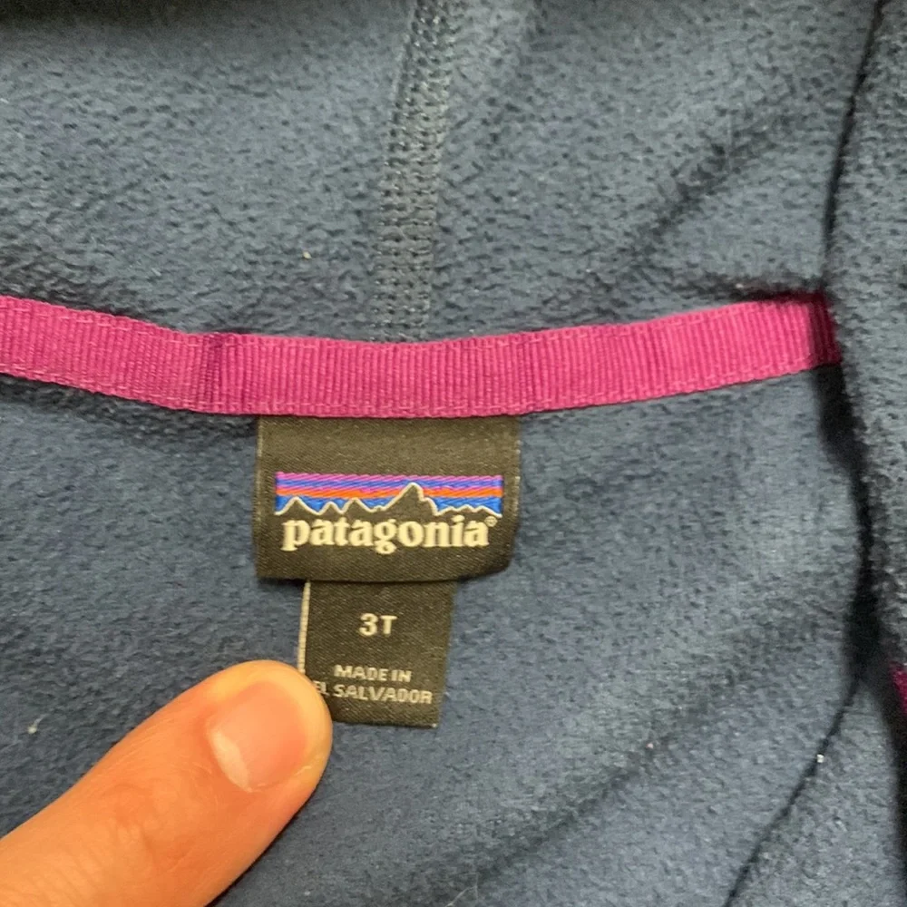 Patagonia Kids Zip-Up Fleece Hoodie